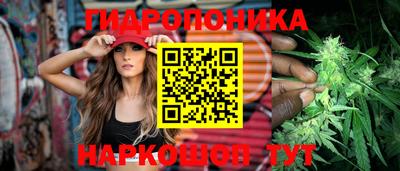 прущие крисы Кунгур