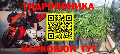 прущие крисы Кунгур